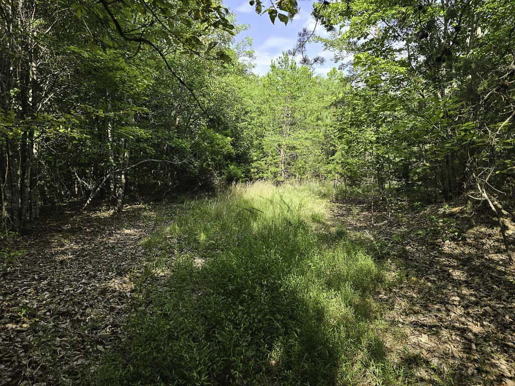 118 Acres of Riverfront Mountain Paradise