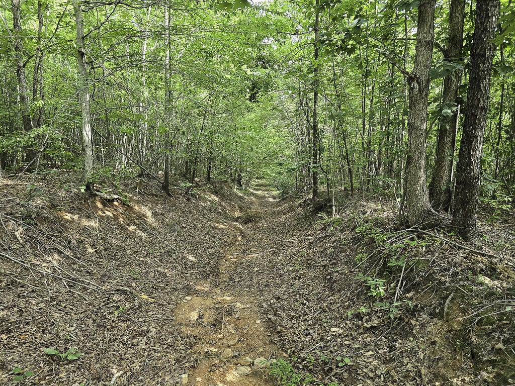 118 Acres of Riverfront Mountain Paradise