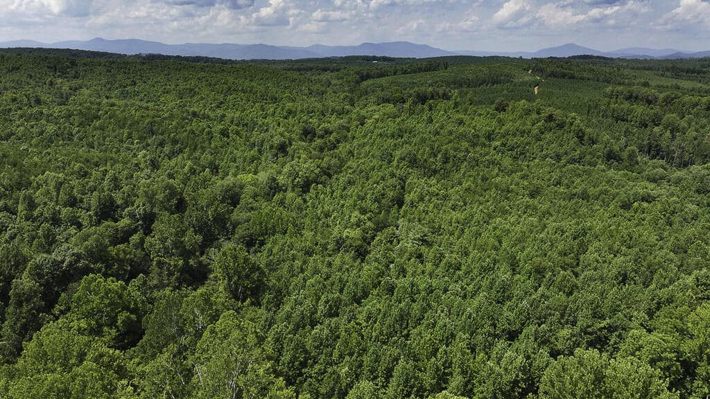 118 Acres of Riverfront Mountain Paradise
