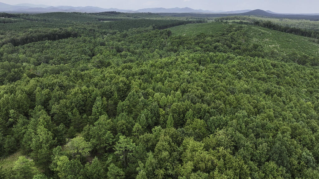 118 Acres of Riverfront Mountain Paradise