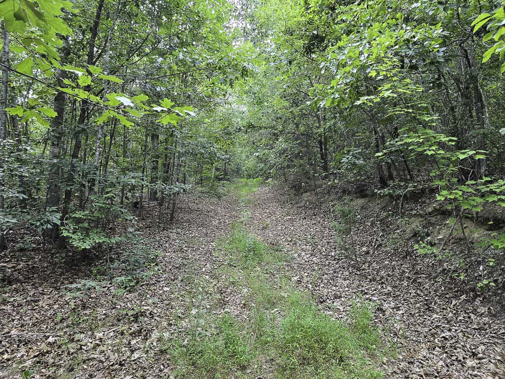 118 Acres of Riverfront Mountain Paradise