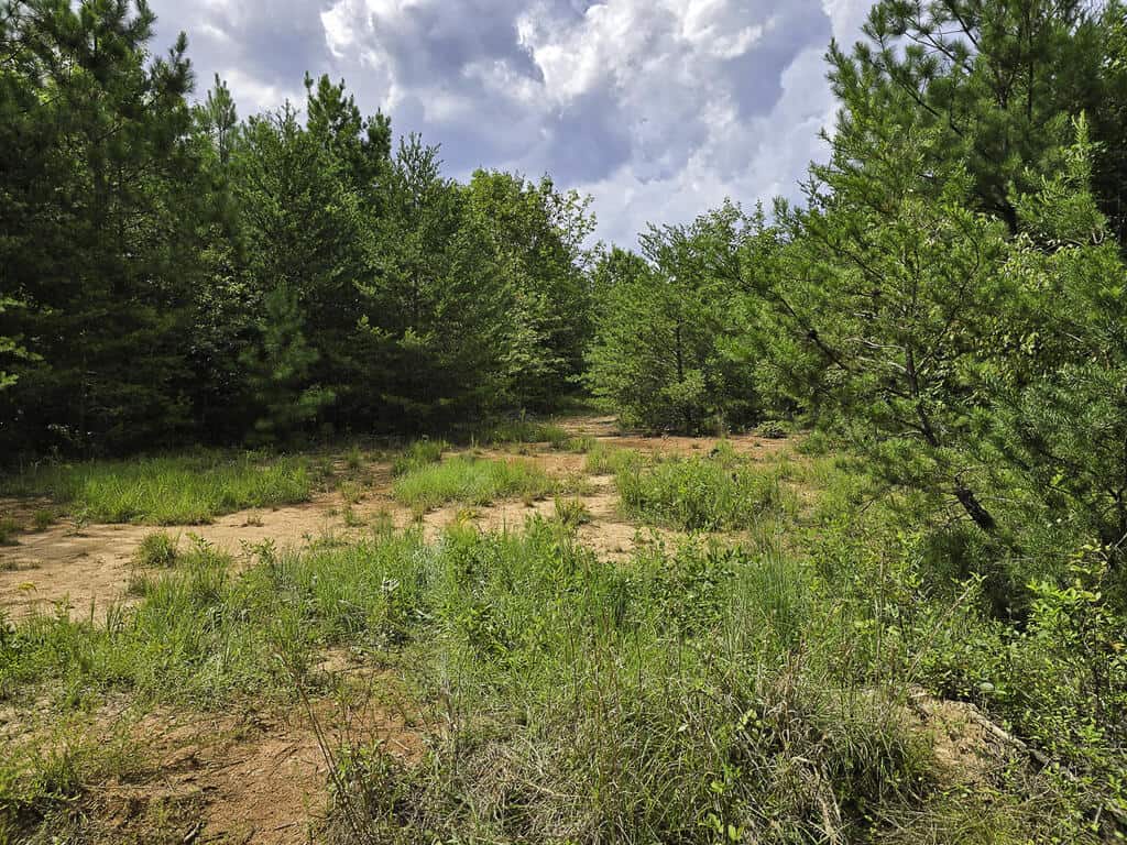 118 Acres of Riverfront Mountain Paradise