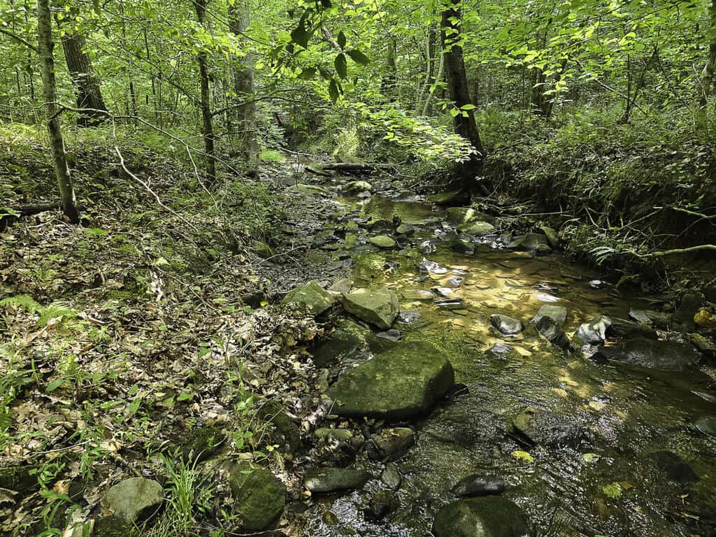 118 Acres of Riverfront Mountain Paradise