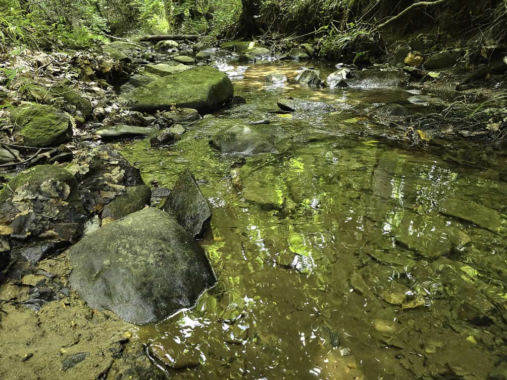 118 Acres of Riverfront Mountain Paradise