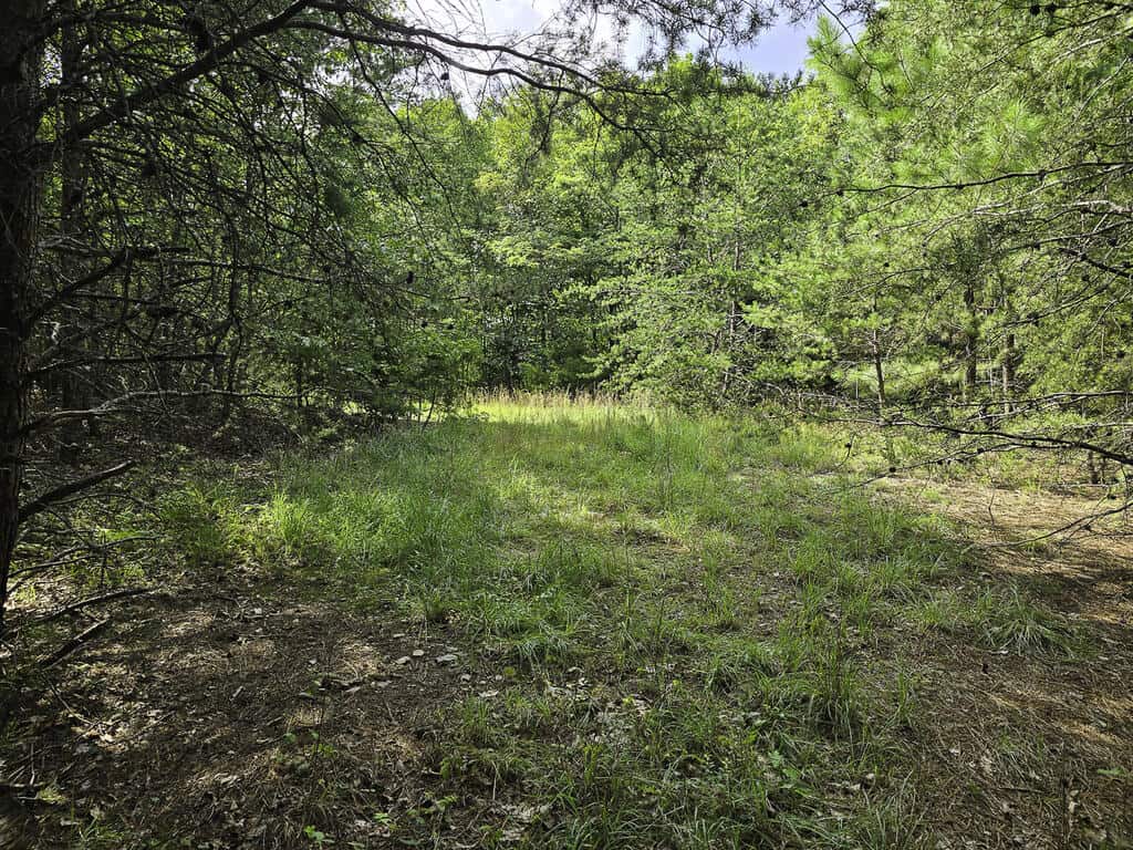 118 Acres of Riverfront Mountain Paradise