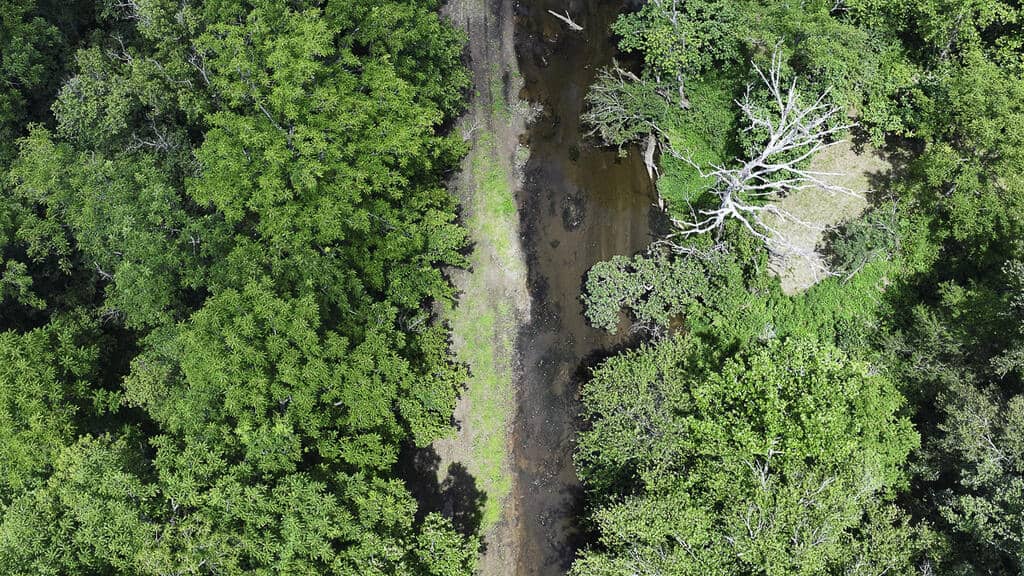 118 Acres of Riverfront Mountain Paradise