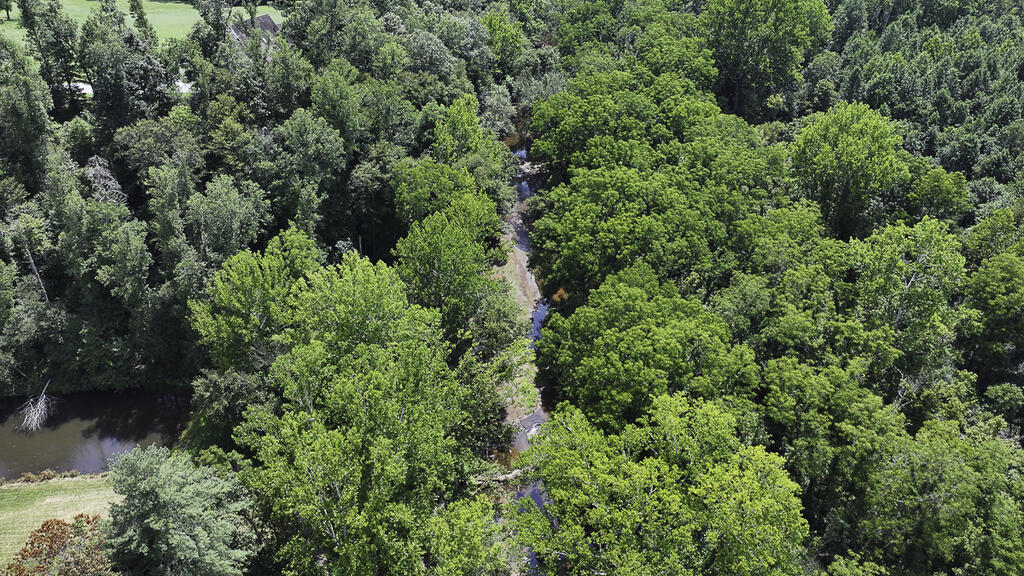 118 Acres of Riverfront Mountain Paradise