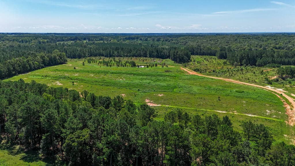 Piney Run Kennel: 180.7± Acres of Sporting Tradition
