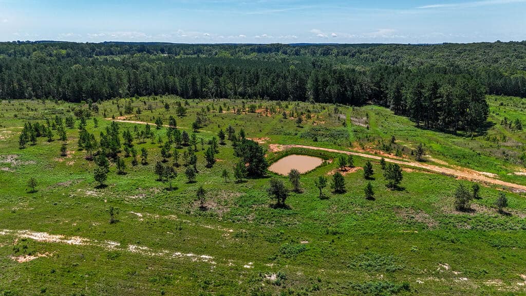 Piney Run Kennel: 180.7± Acres of Sporting Tradition