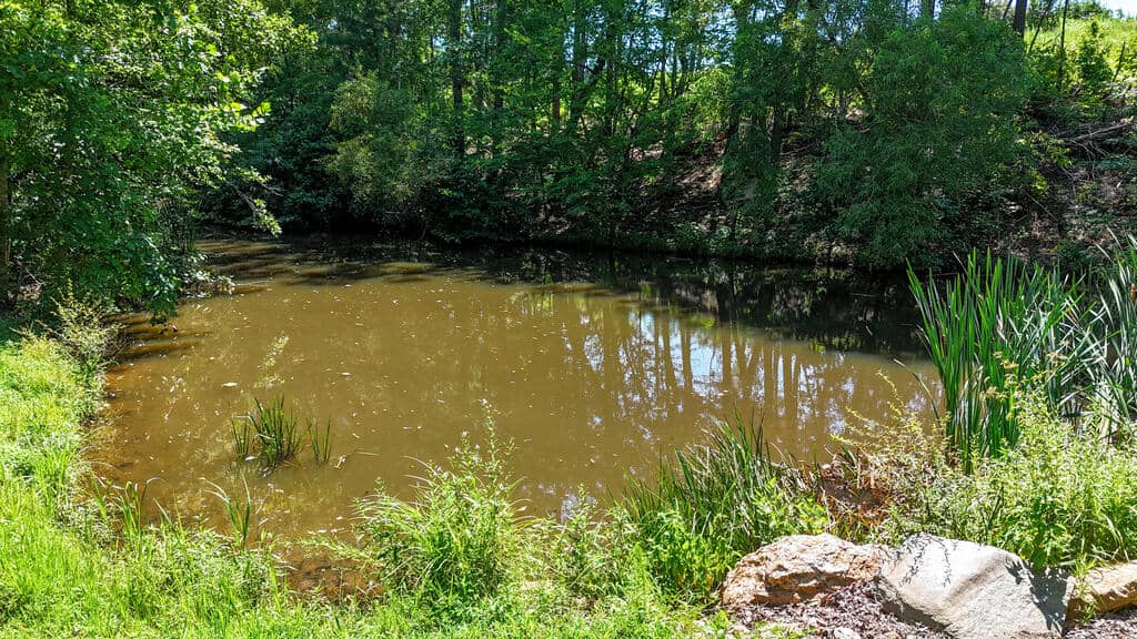 Piney Run Kennel: 180.7± Acres of Sporting Tradition