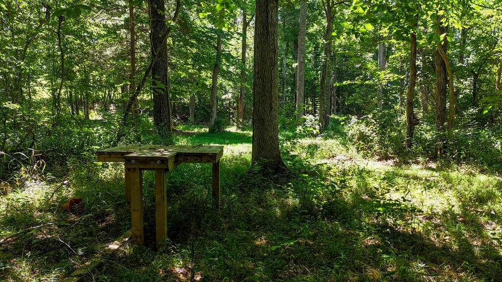 Piney Run Kennel: 180.7± Acres of Sporting Tradition