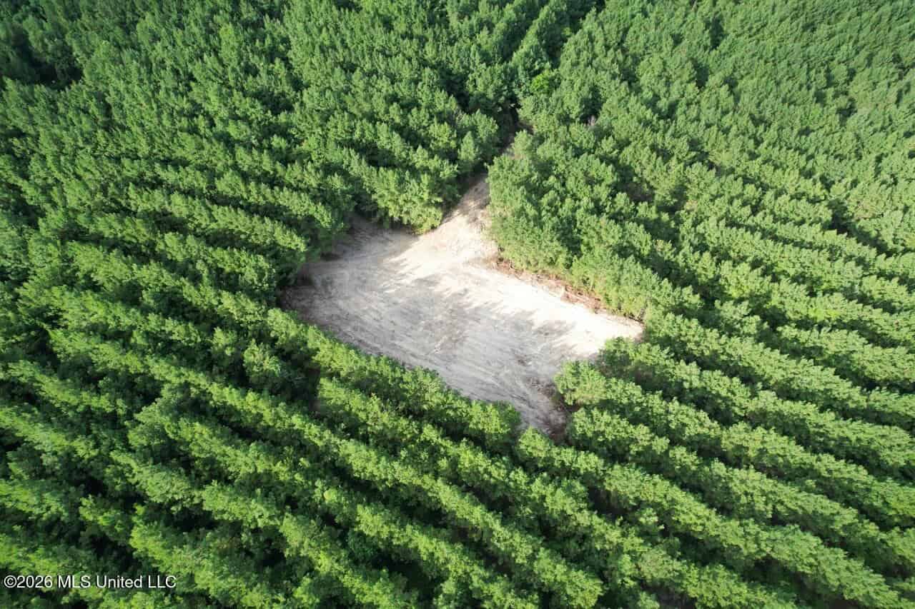 82± Acre Hunting Tract in Meadville, MS