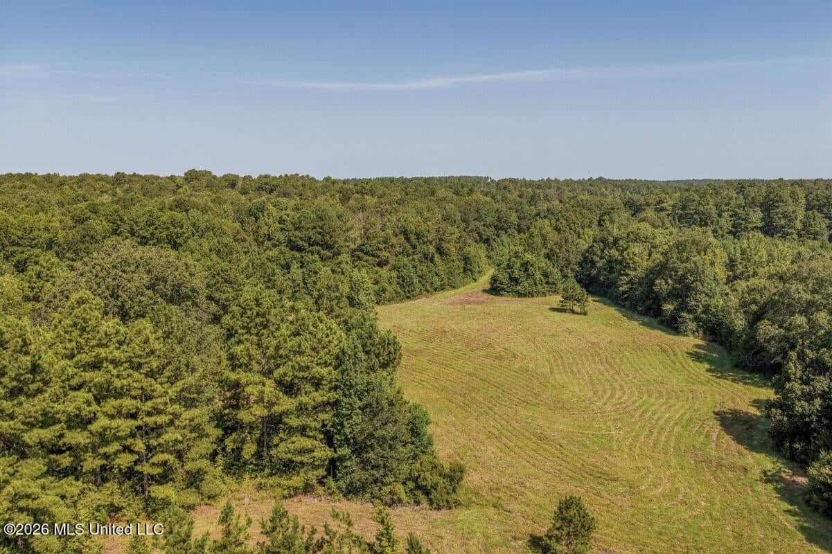 52.25± Acres in Copiah County, MS Near Hazlehurst