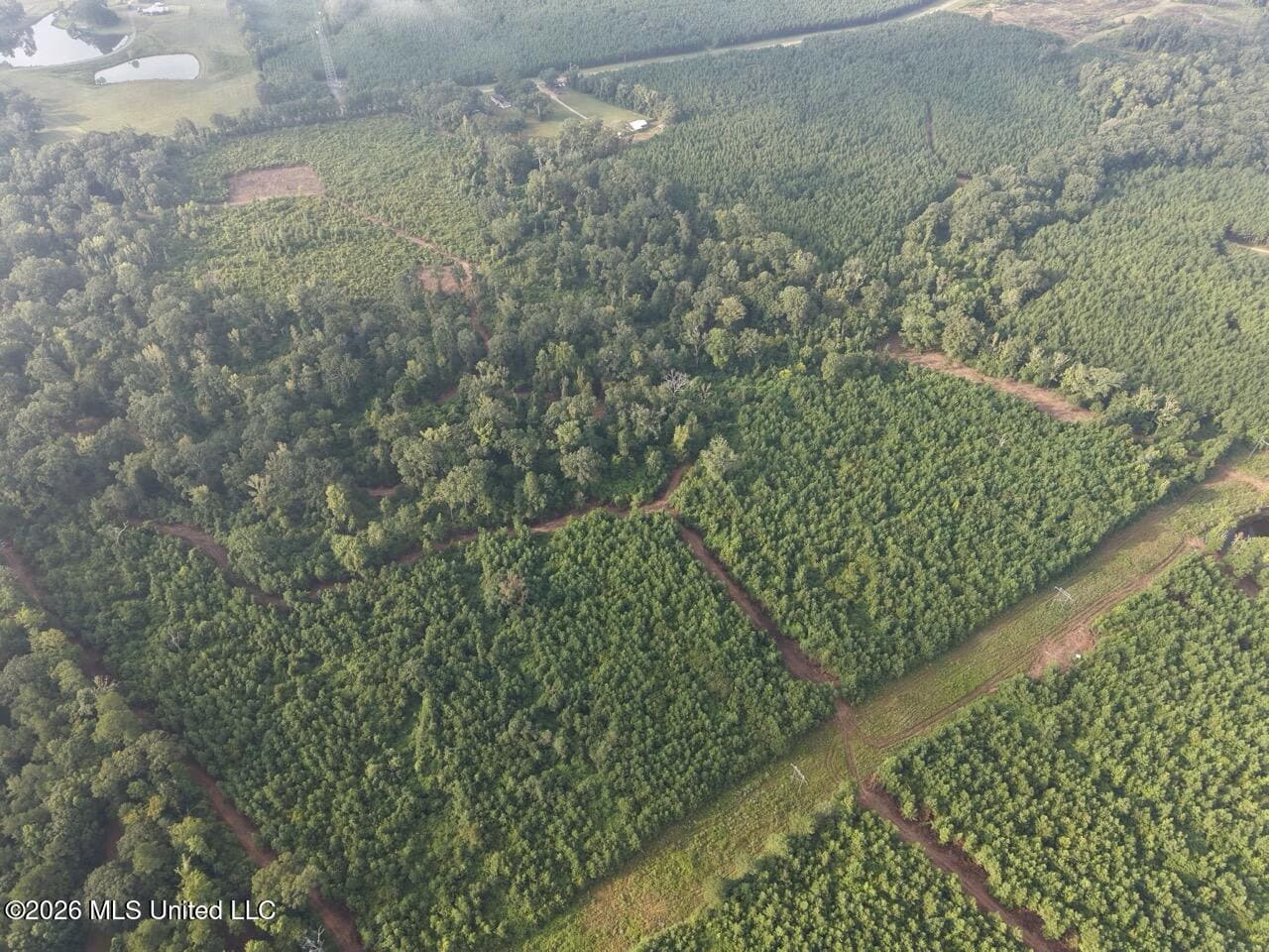 82± Acre Hunting Property in Wilkinson County, MS