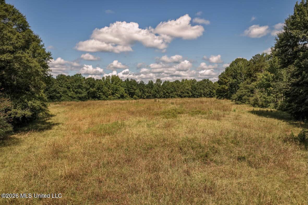 HWY 49 Land for Sale Simpson County, MS