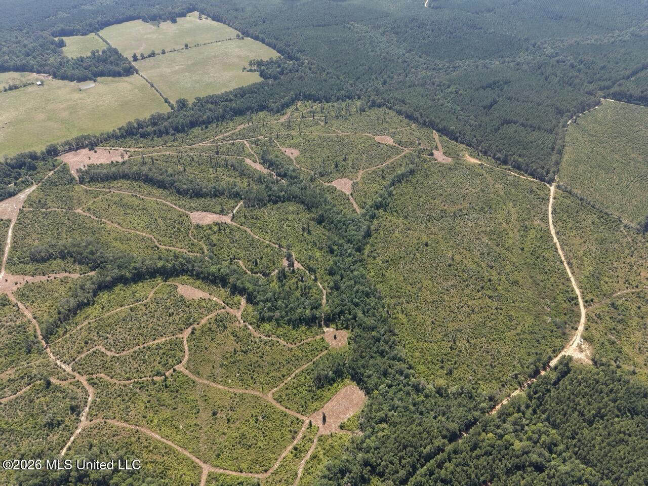 147± Acre Hunting Property in Plainview, LA