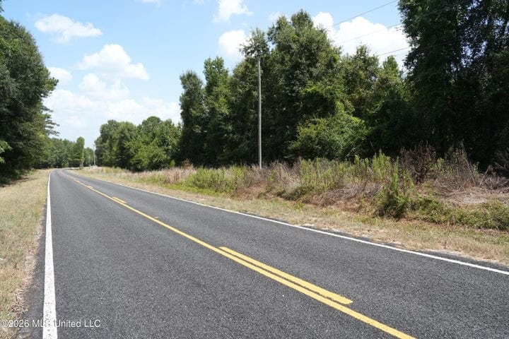 31 Acres for Sale Near Collins MS | Mature Timber & Hunting