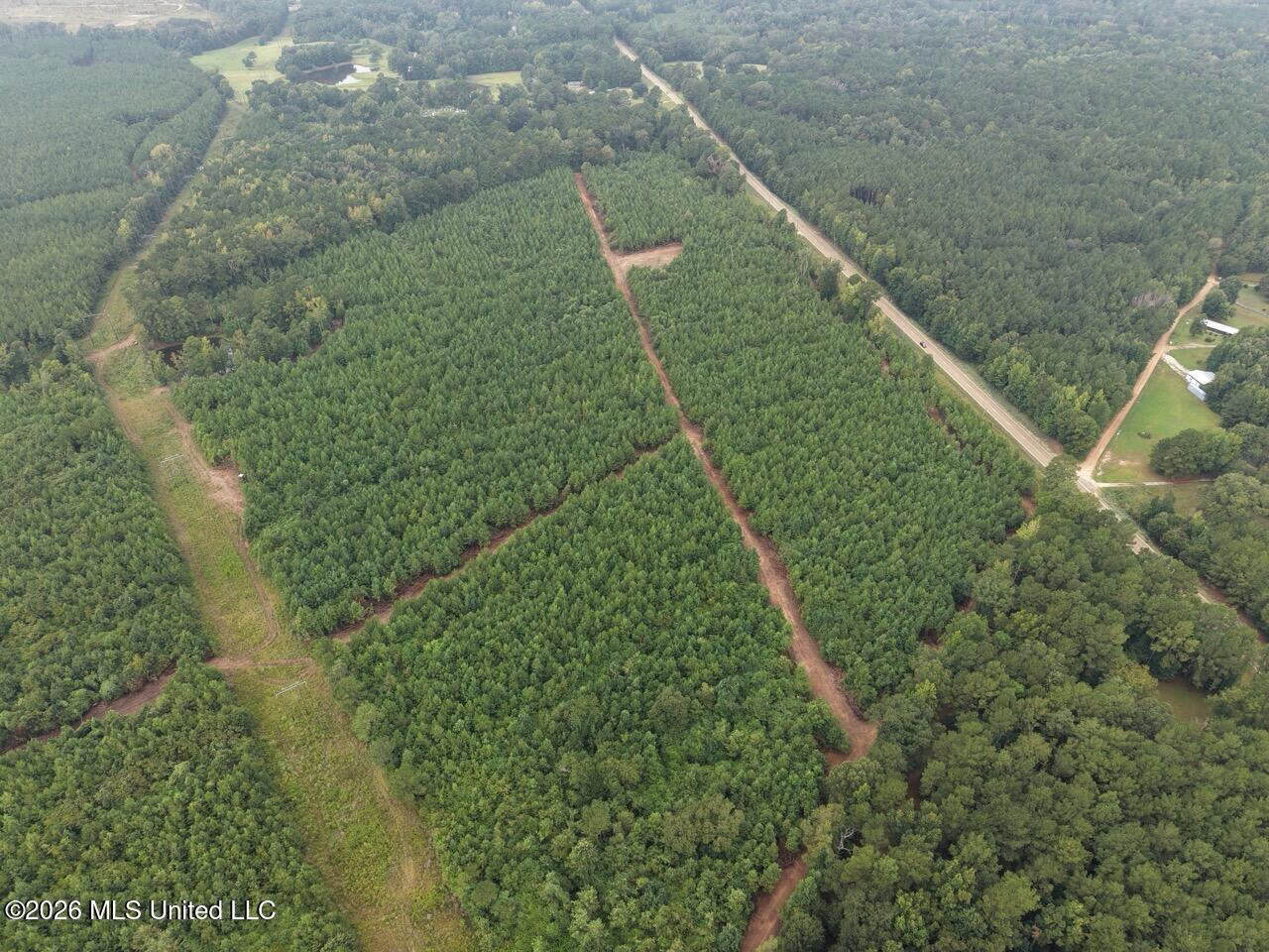 53± Acre Hunting Property Near Centreville, MS