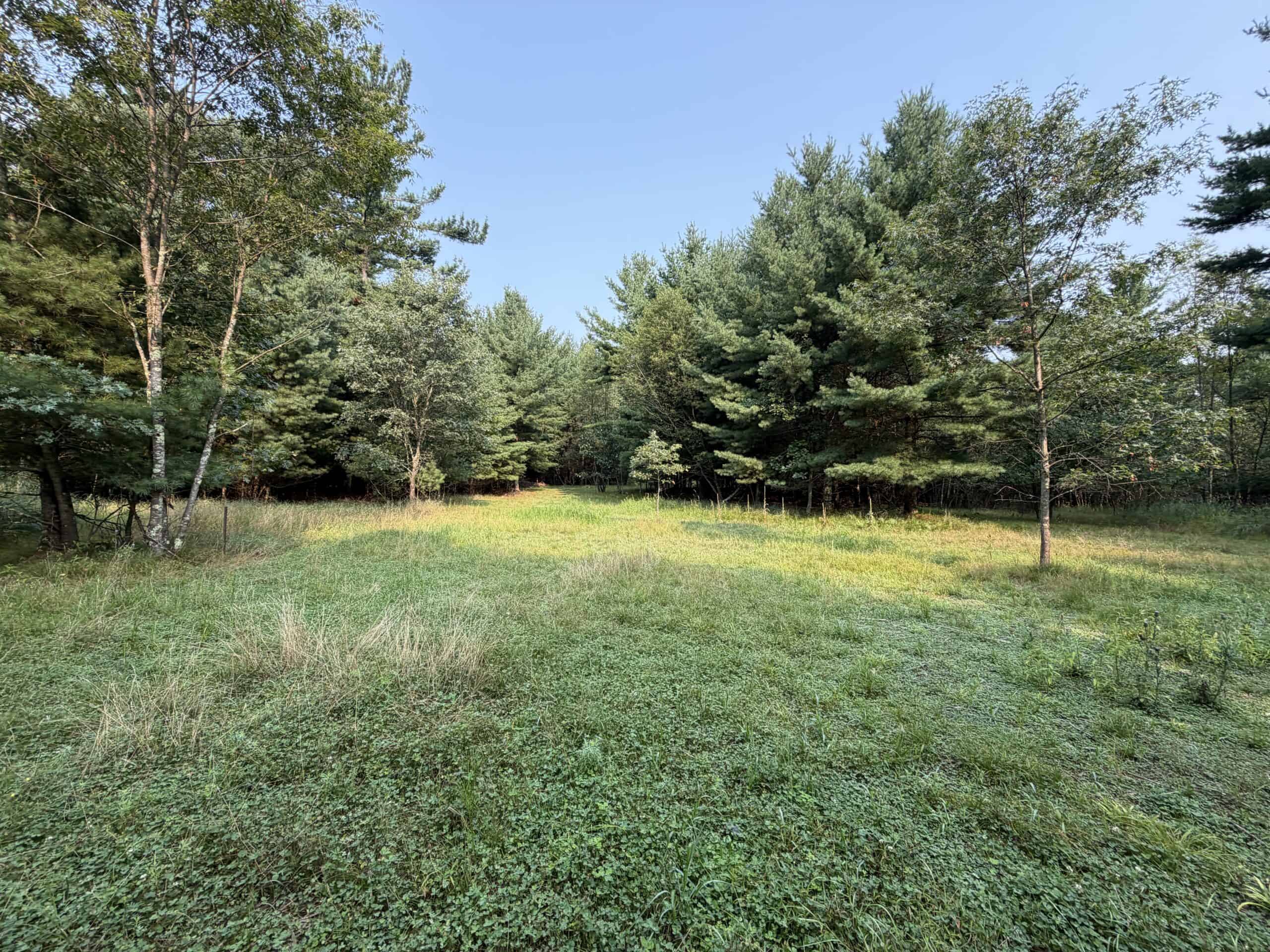 Rare opportunity to own 17.54 wooded acres within the City of Adams