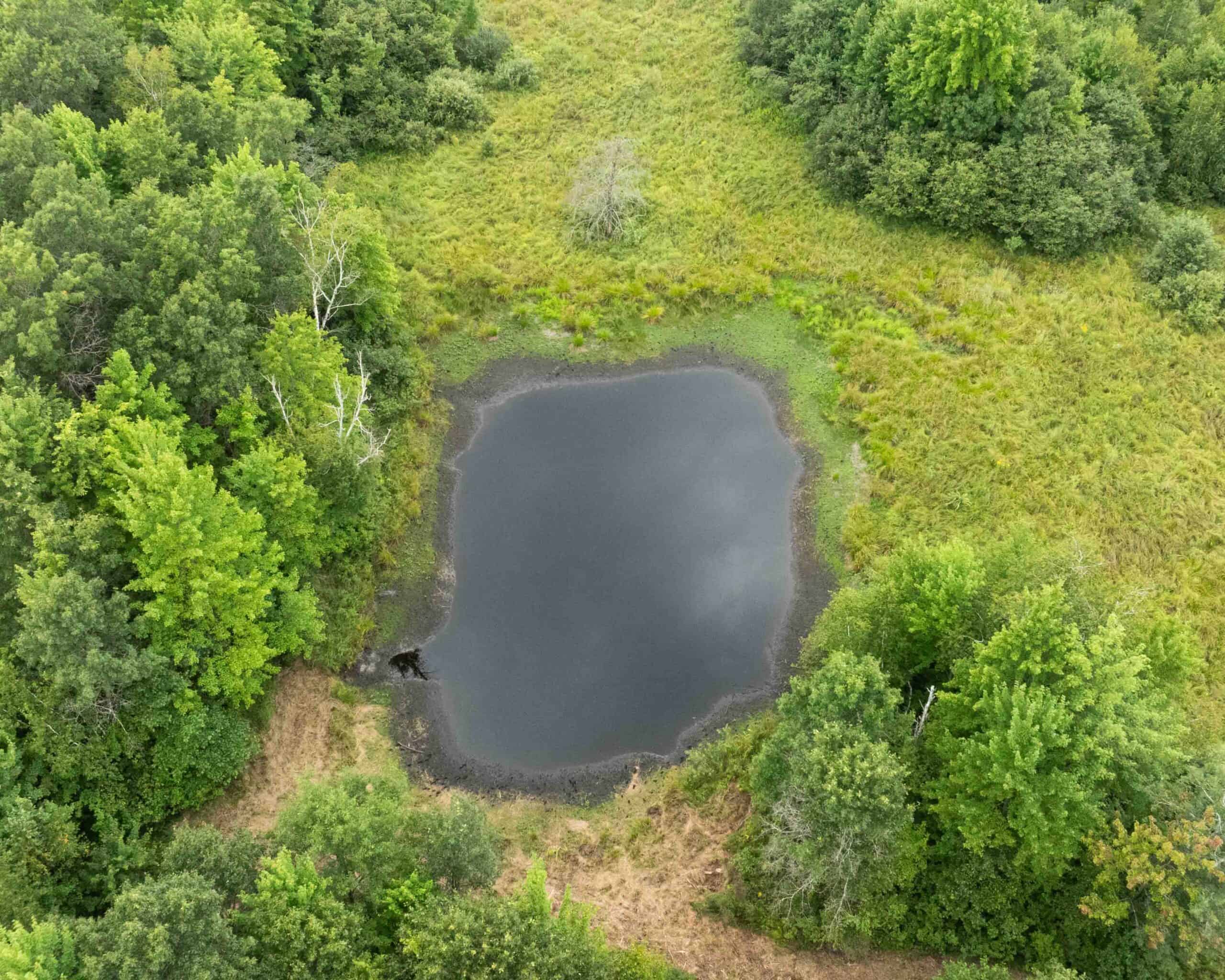 Juneau County WI 80 Acre Camp For Sale