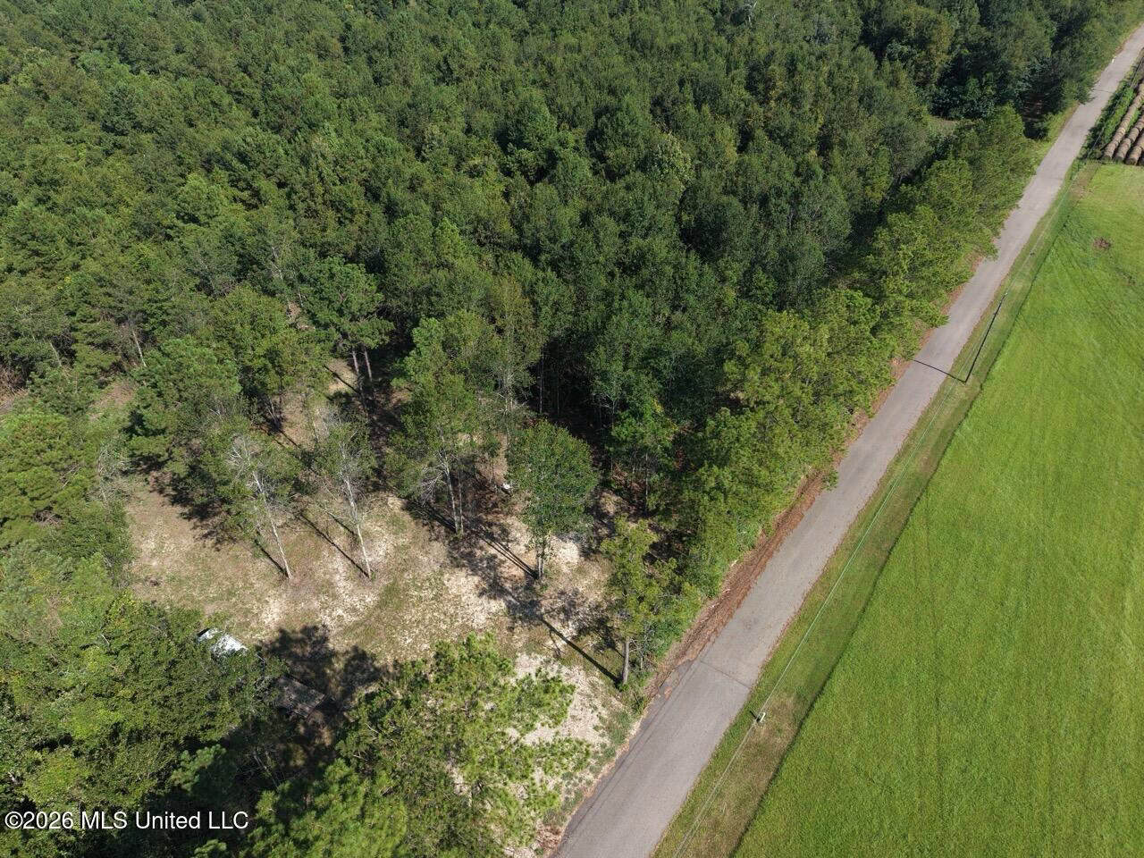50± Acre Homesite & Hunting Land in Plainview, LA