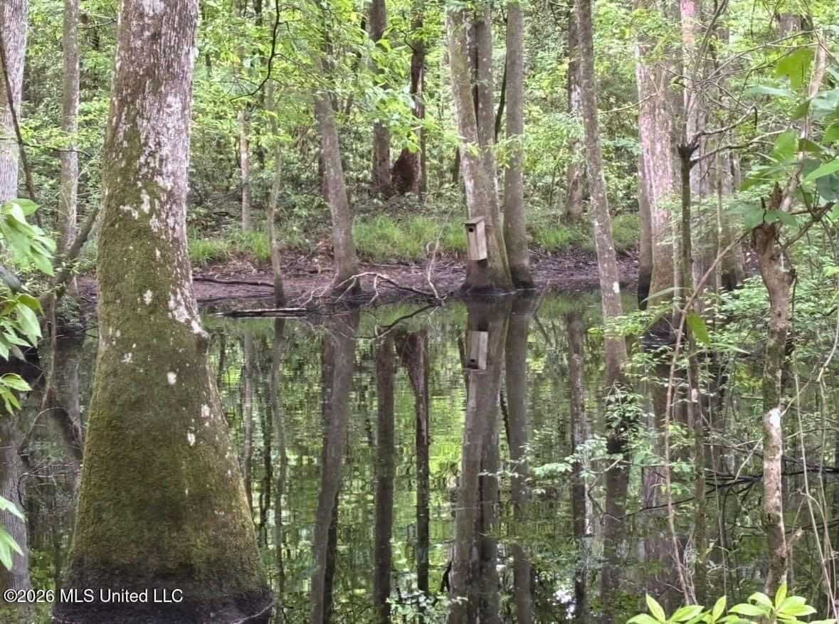 150 Acres for Sale in Magnolia MS on Tangipahoa River