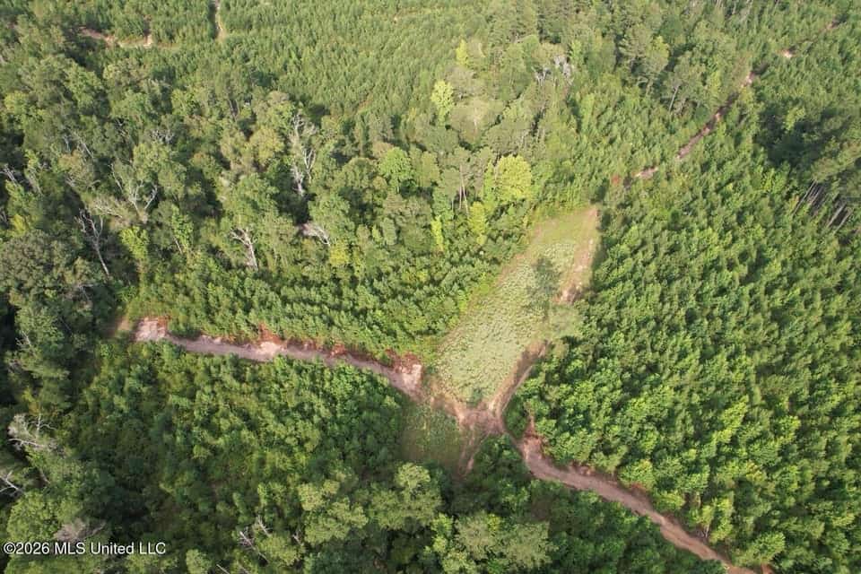 90± Acre Hunting Tract for Sale in Meadville, MS