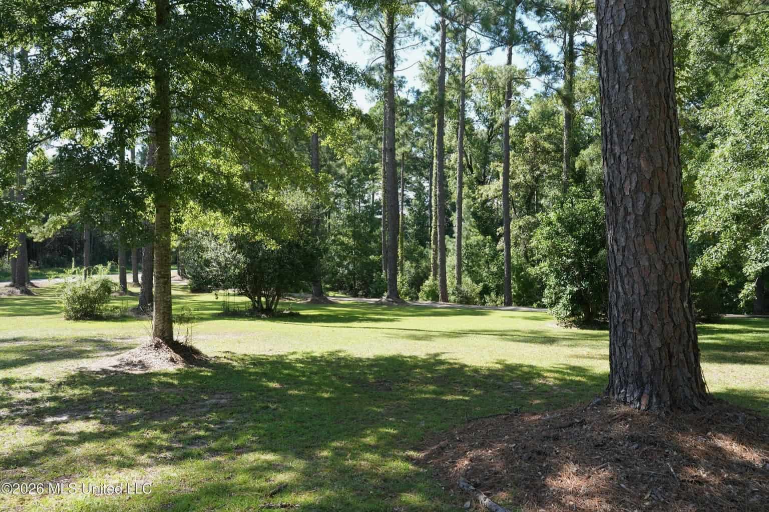 20 Acres for Sale Magnolia MS with Barn & Mature Timber