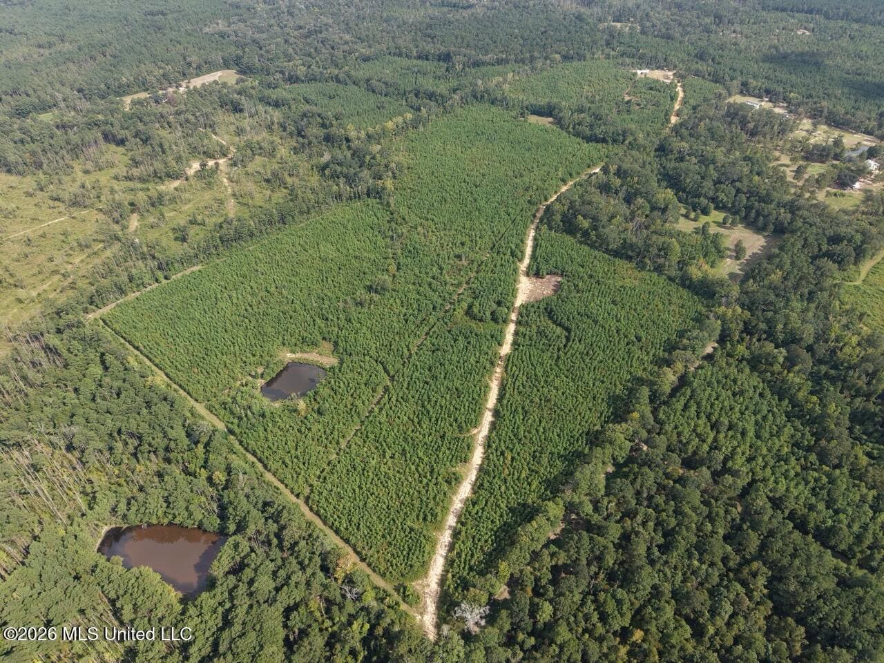 85± Acre Turnkey Hunting Property in Amite County, MS