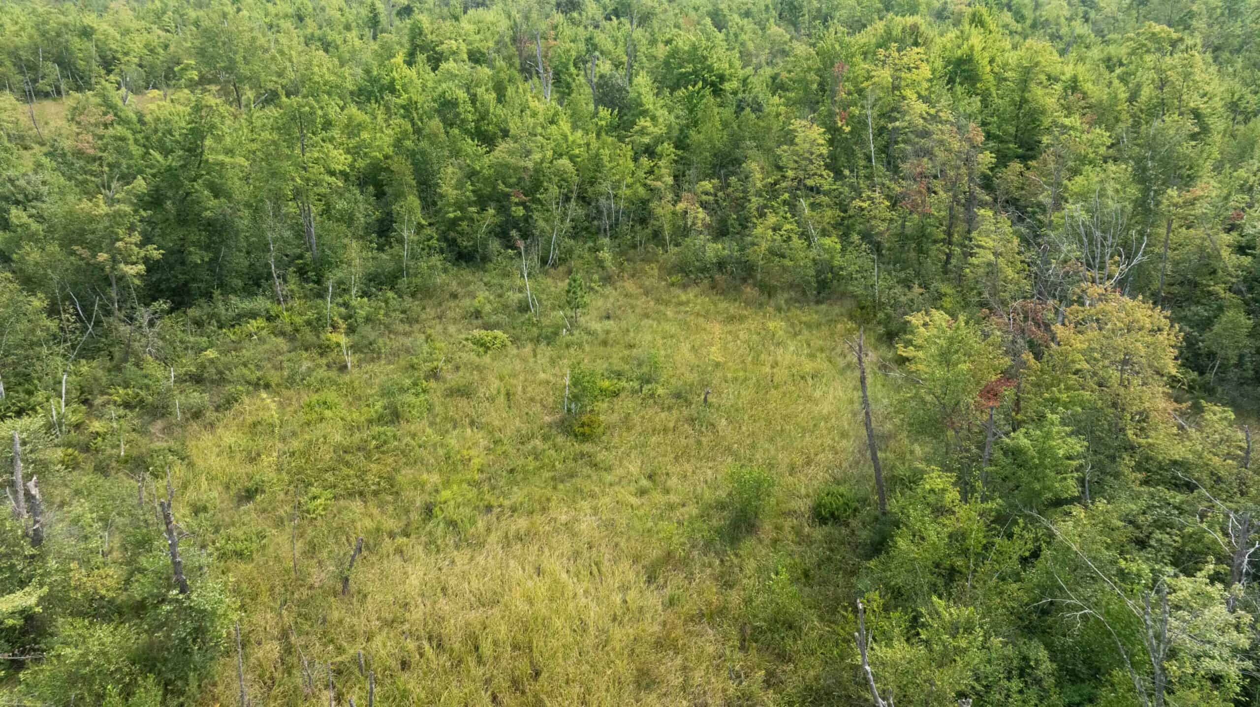40+/- Acres with Hunting Cabin – Town of Finley, Juneau County, Wisconsin