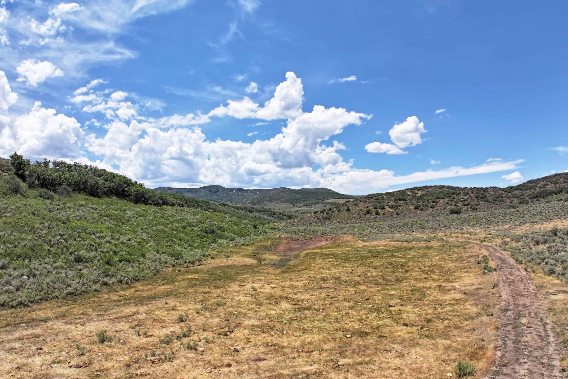 35 Acres Borders Public Land near Collbran, CO