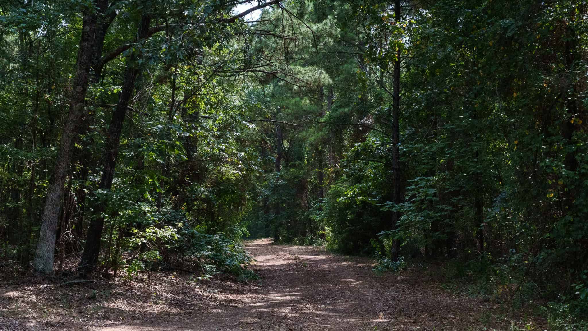 East Texas Hunting & Timber Land for Sale in Smith County