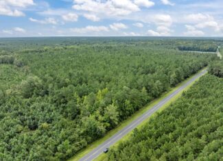 42-Acre Timber & Hunting Land for Sale in Edward, NC