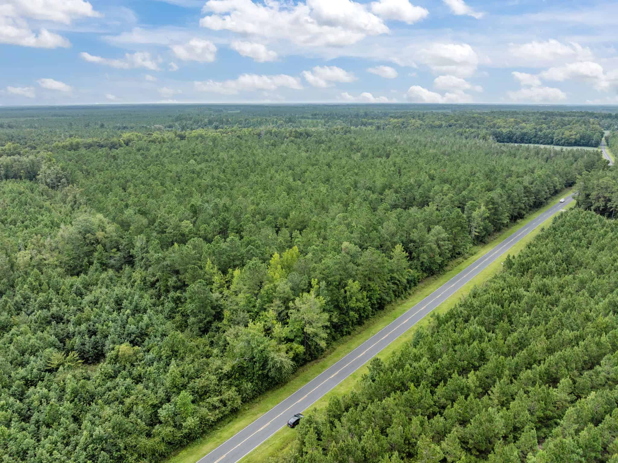 42-Acre Timber & Hunting Land for Sale in Edward, NC