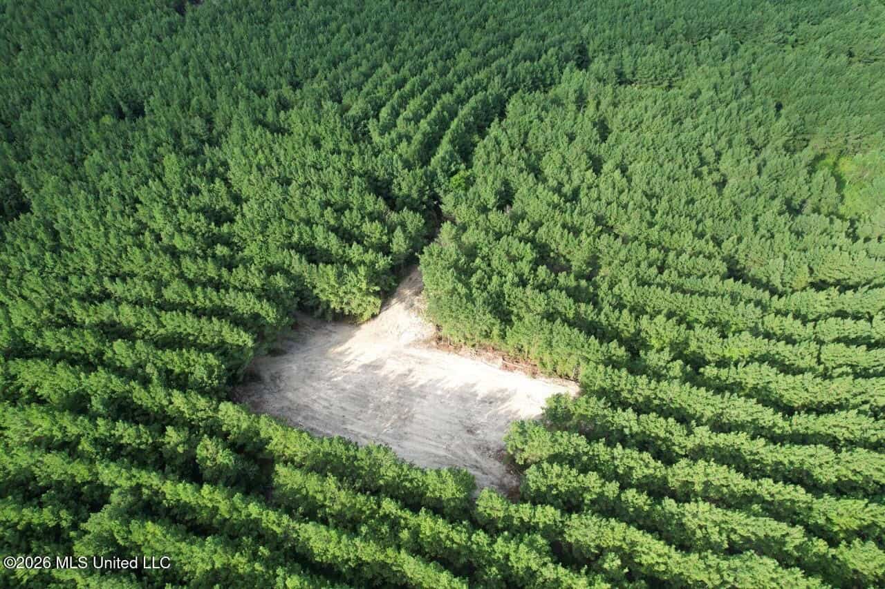 82± Acre Hunting Tract in Meadville, MS
