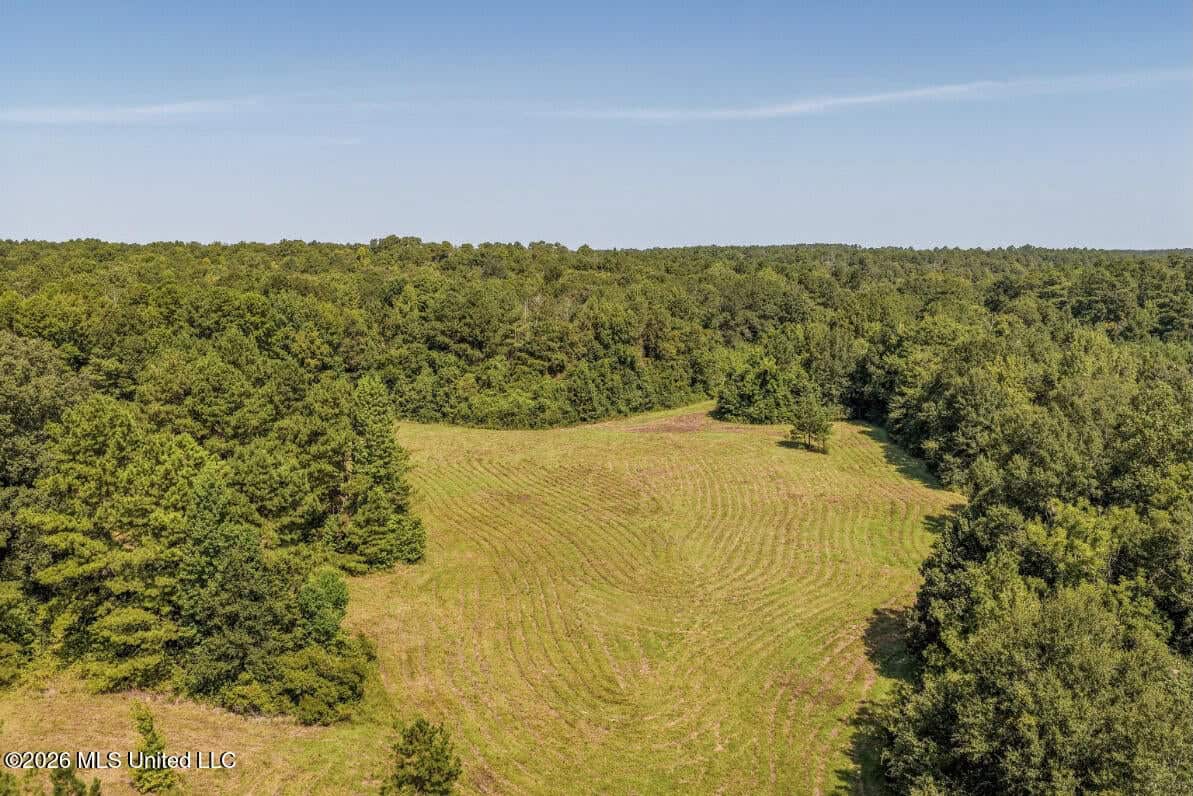 52.25± Acres in Copiah County, MS Near Hazlehurst