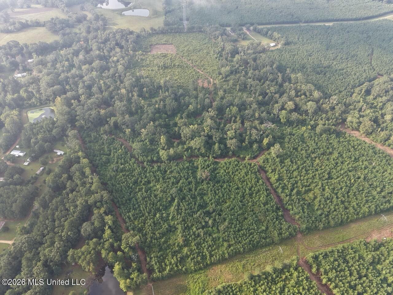 82± Acre Hunting Property in Wilkinson County, MS