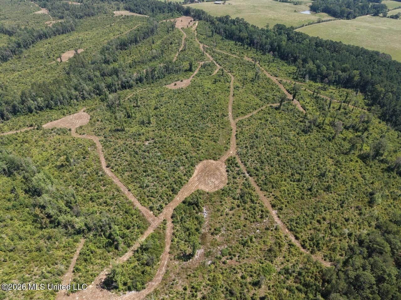 147± Acre Hunting Property in Plainview, LA