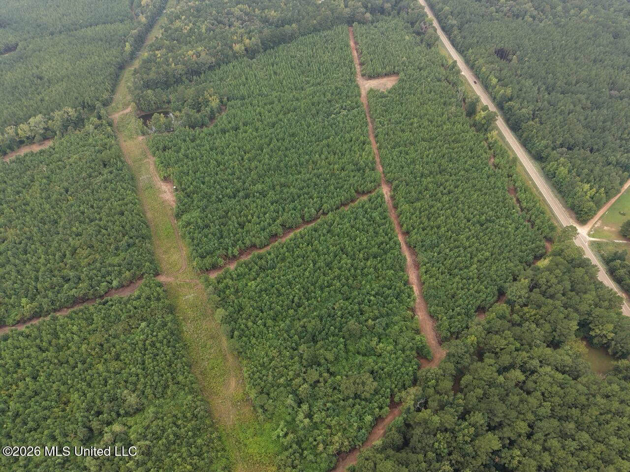 53± Acre Hunting Property Near Centreville, MS