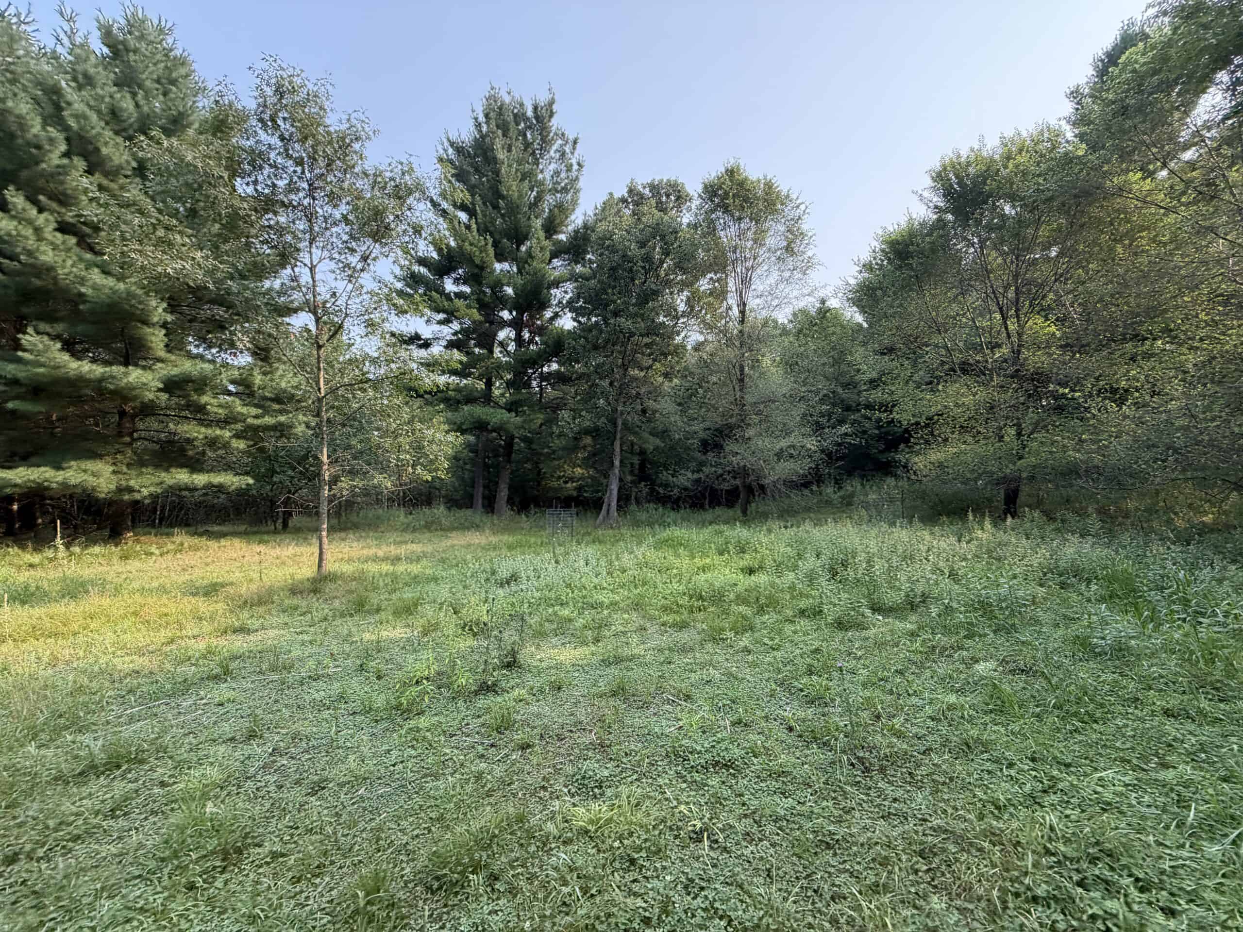 Rare opportunity to own 17.54 wooded acres within the City of Adams