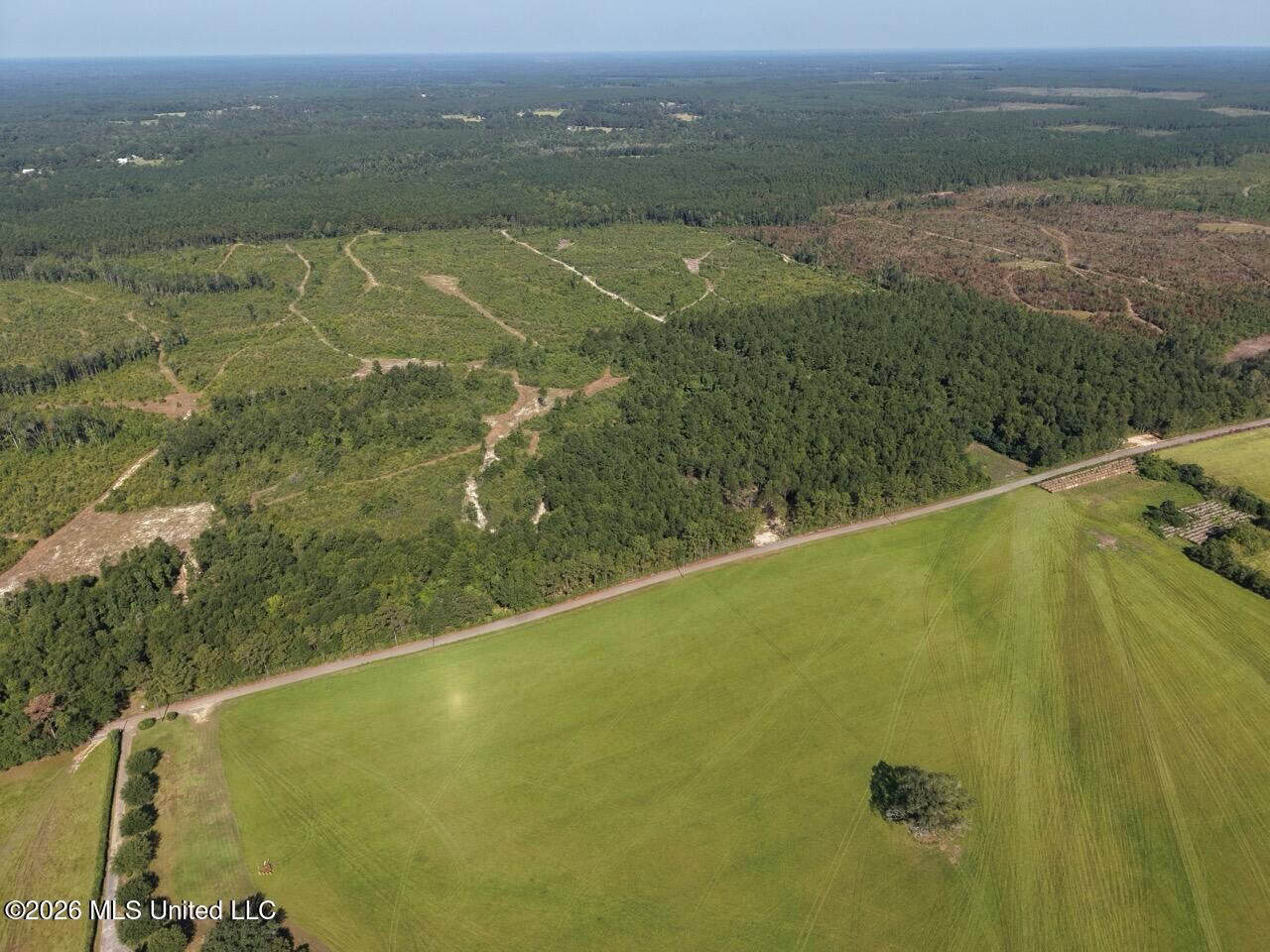 50± Acre Homesite & Hunting Land in Plainview, LA