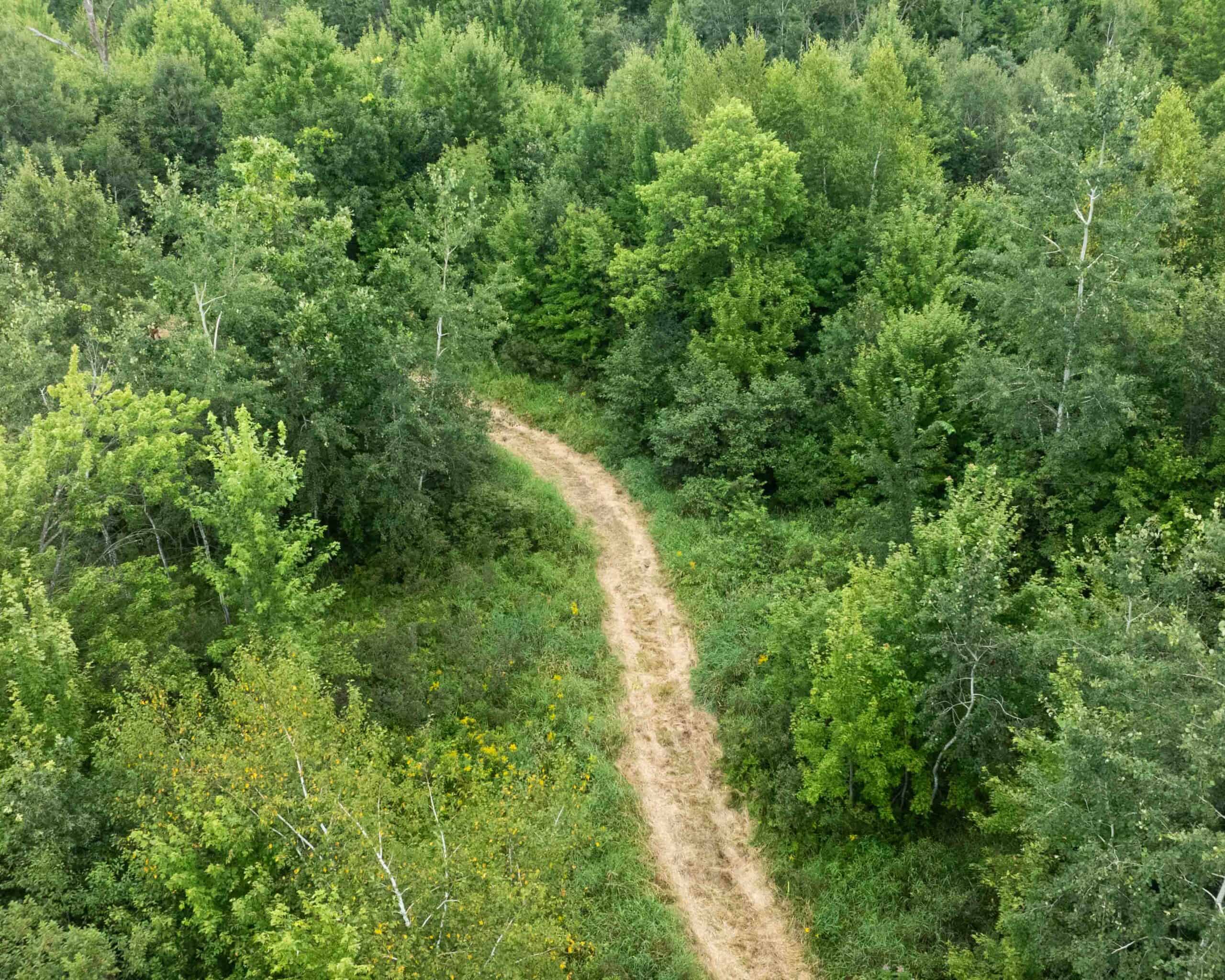 Juneau County WI 80 Acre Camp For Sale