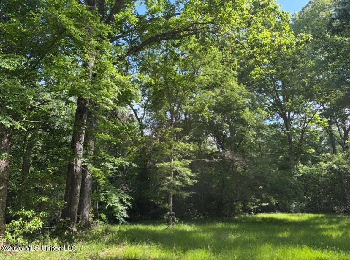 150 Acres for Sale in Magnolia MS on Tangipahoa River