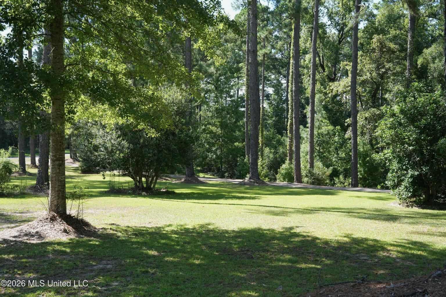20 Acres for Sale Magnolia MS with Barn & Mature Timber