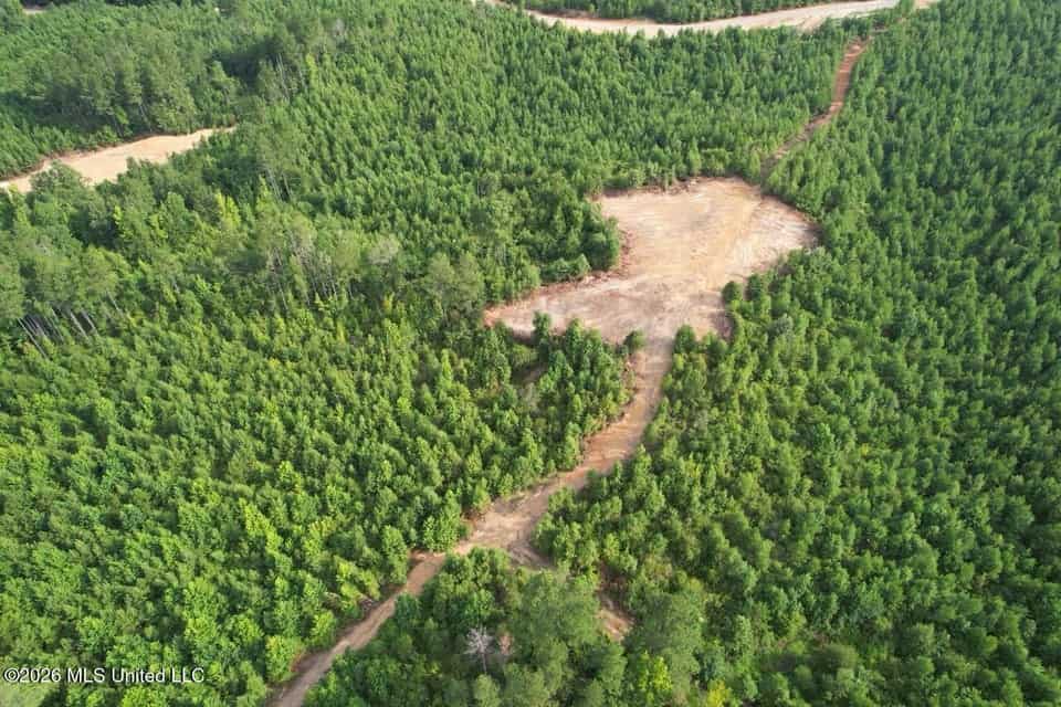 90± Acre Hunting Tract for Sale in Meadville, MS