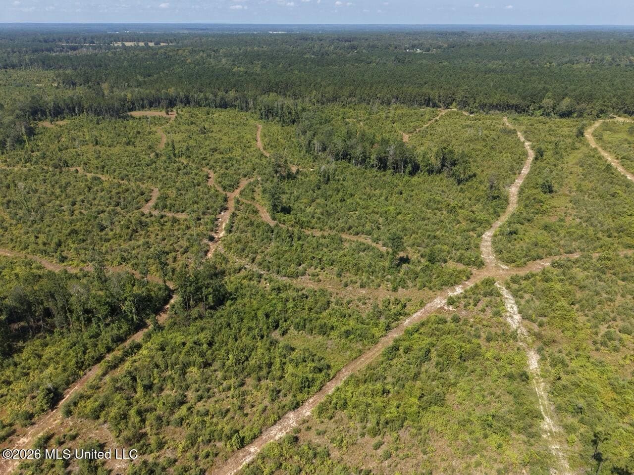 42± Acre Homesite & Hunting Land in Plainview, LA