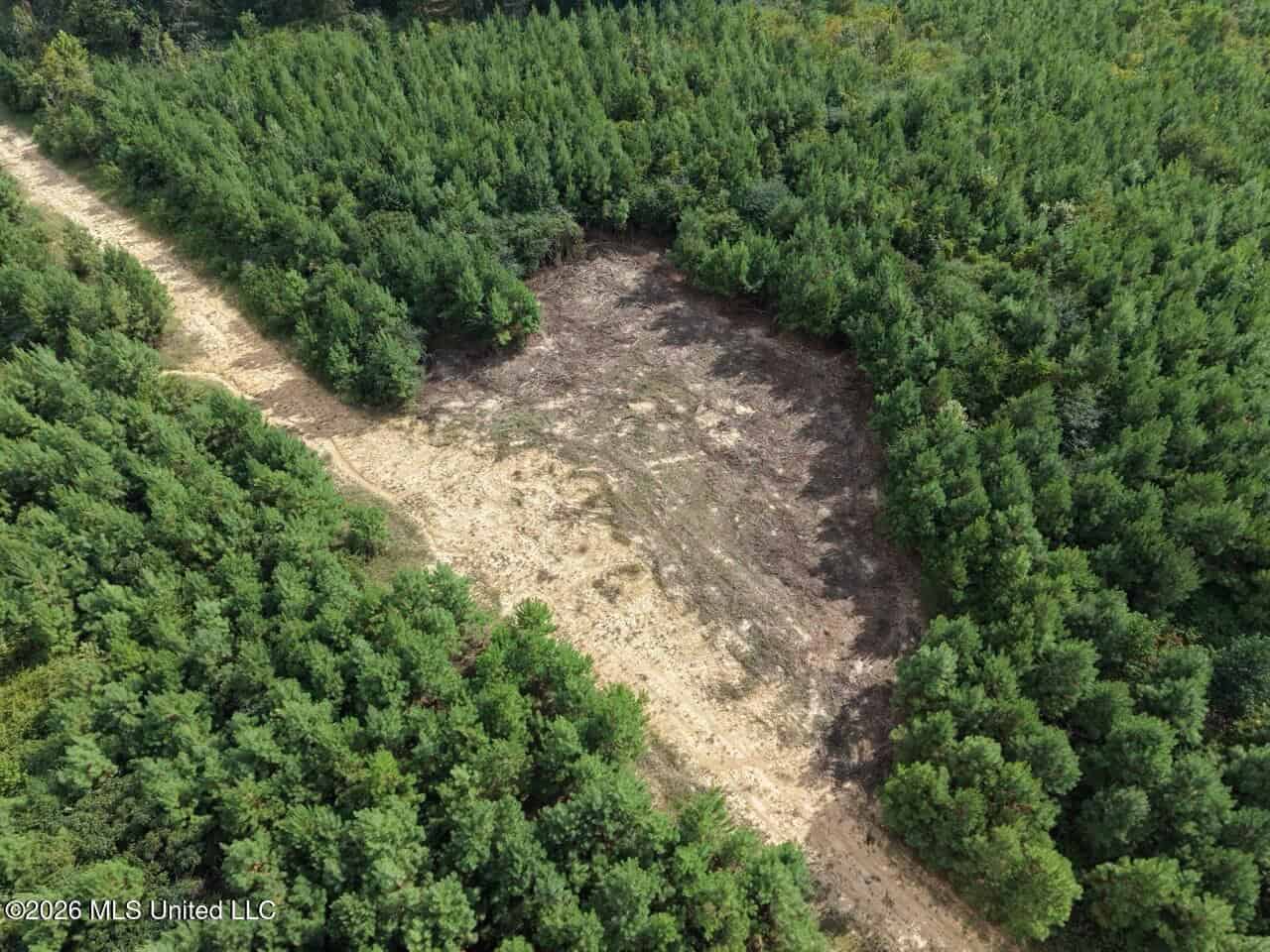 85± Acre Turnkey Hunting Property in Amite County, MS