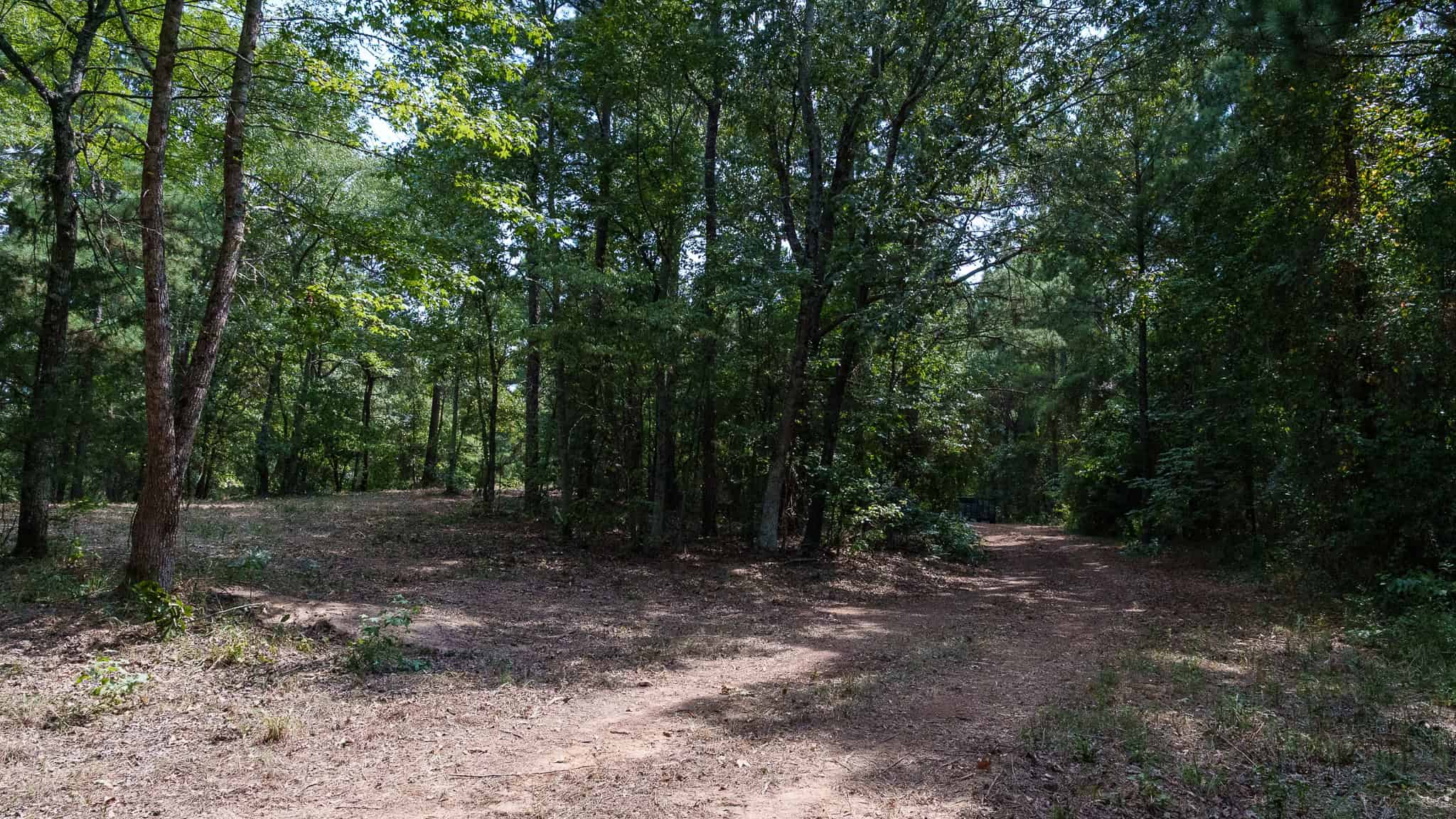 East Texas Hunting & Timber Land for Sale in Smith County
