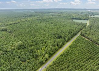 42-Acre Timber & Hunting Land for Sale in Edward, NC