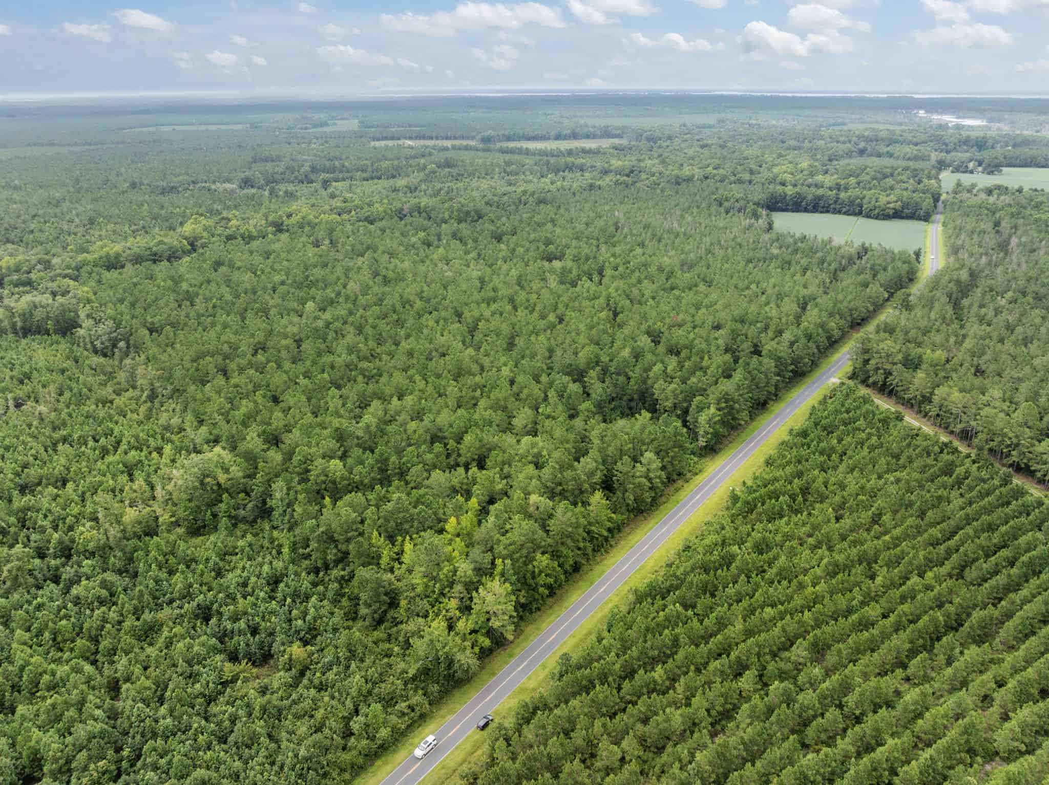 42-Acre Timber & Hunting Land for Sale in Edward, NC